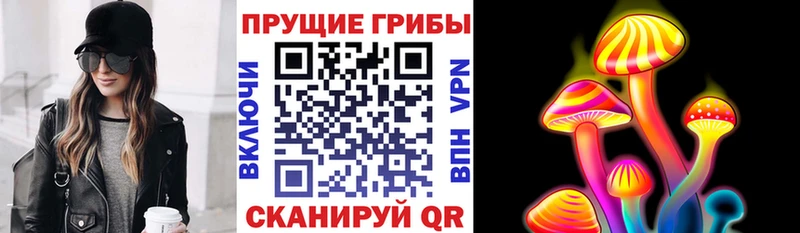 Псилоцибиновые грибы GOLDEN TEACHER Великий Новгород